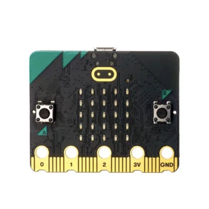 Carte Micro:bit